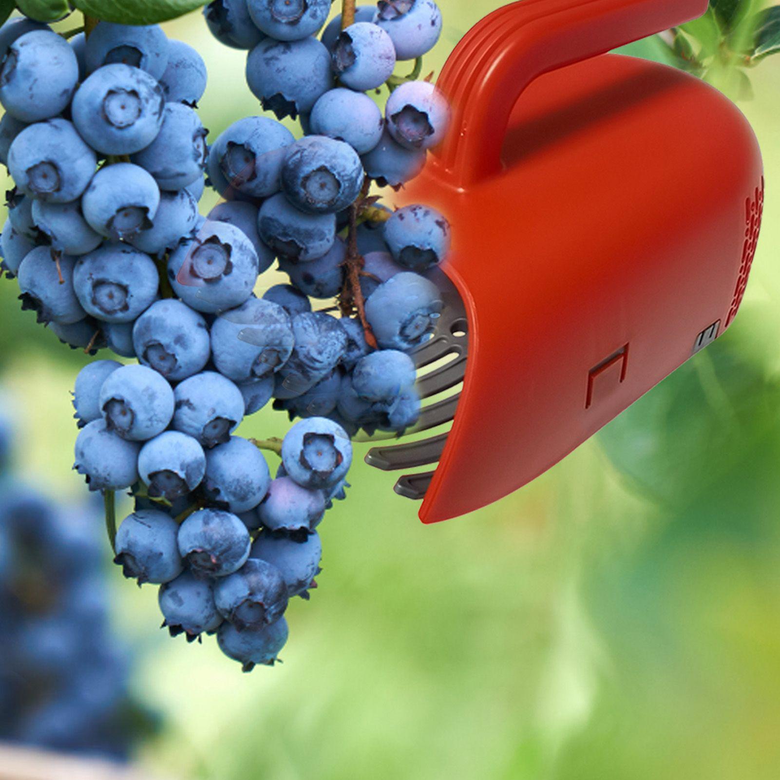 Gardening Tools Rake - Beerenpflücker mit Ergonomischem Griff, Blaubeeren-Sammelgerät, Umweltfreundliches