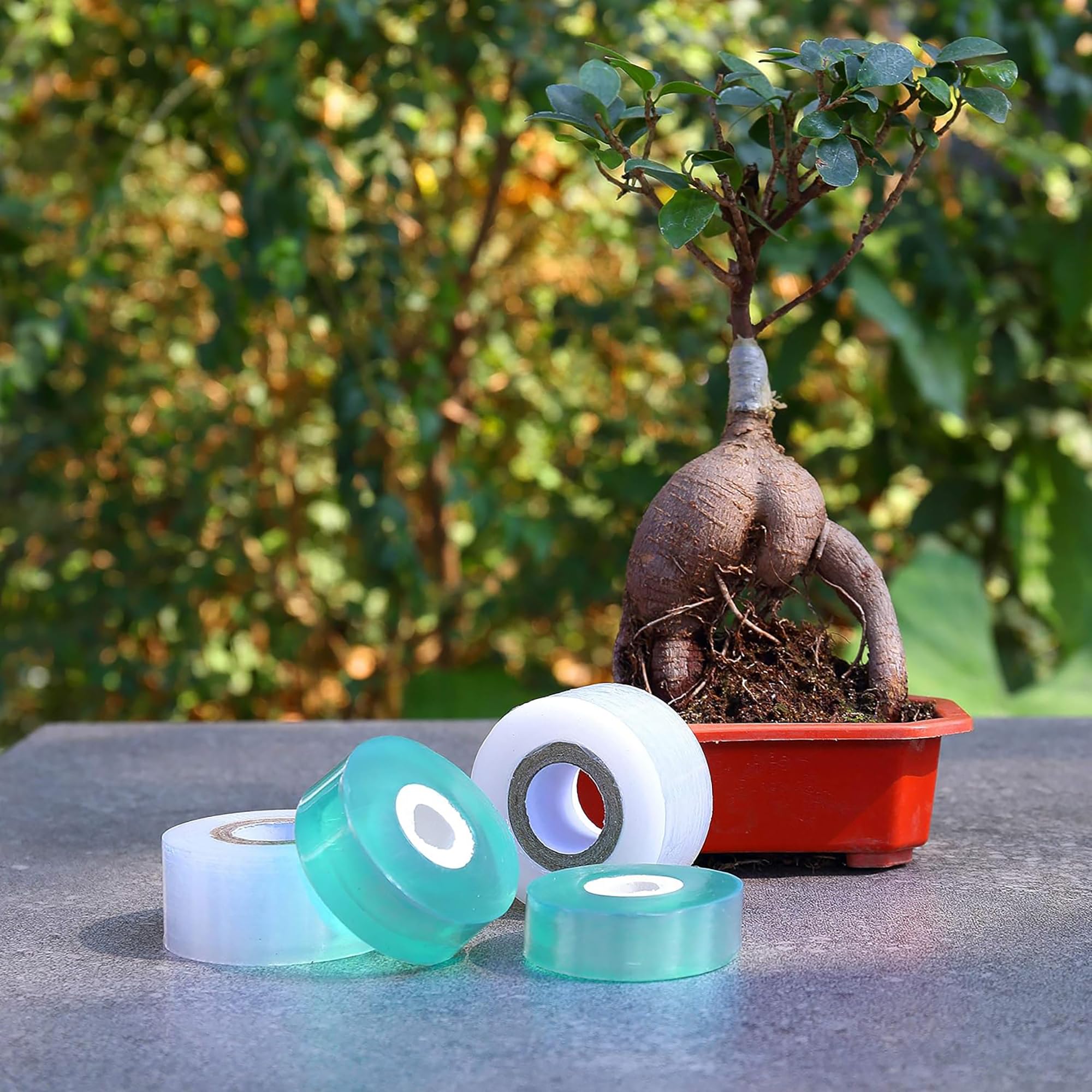 Einfach zu Verwendendes Biolog – Gardening Tools Uses Bewertung und Preis