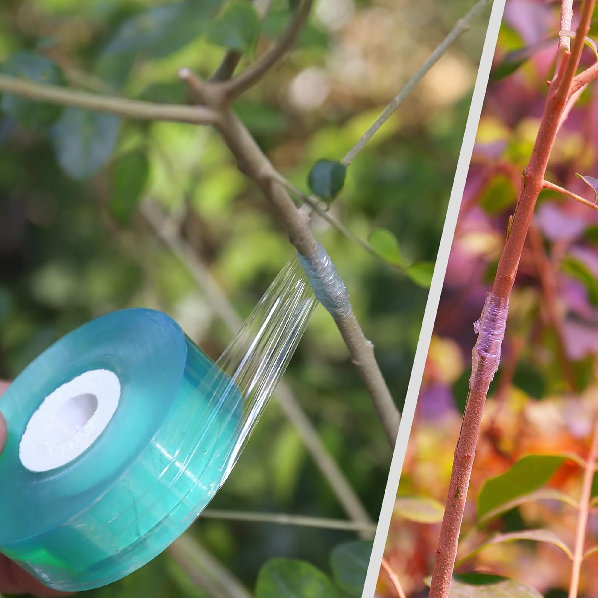 Einfach zu Verwendendes Biolog – Gardening Tools Uses Bewertung und Preis