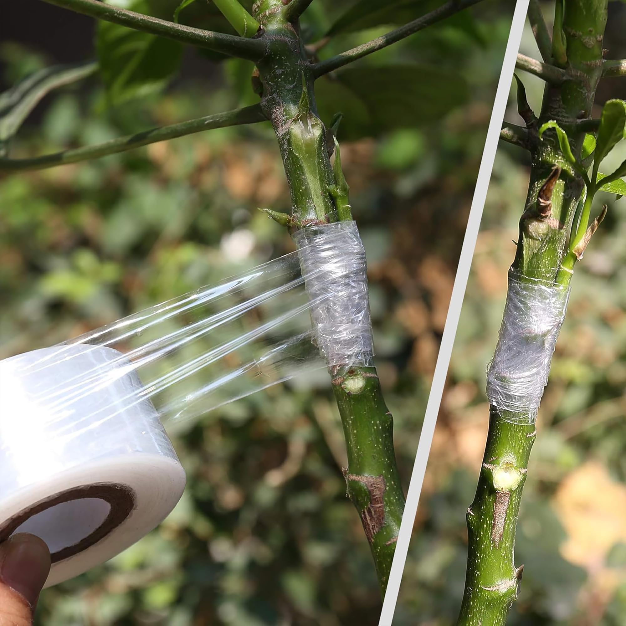 Einfach zu Verwendendes Biolog – Gardening Tools Uses Bewertung und Preis