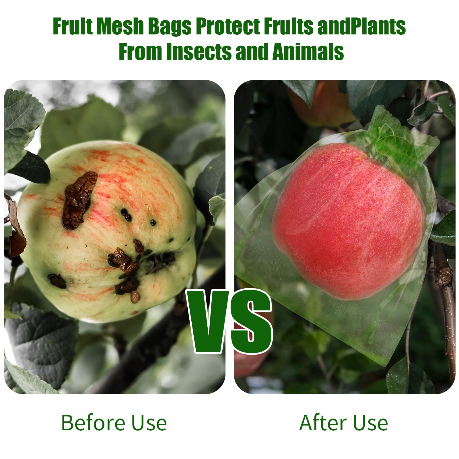 2026 Neue Obstschutznetze: Vog – Grow Bags Bewertung und Preis
