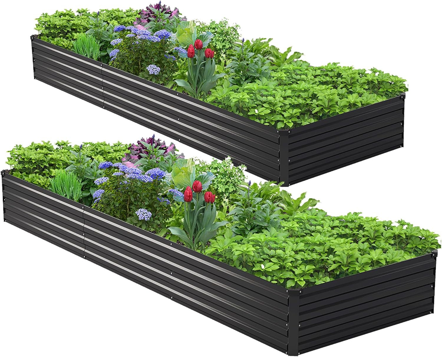 2er-Set 10x3x1ft Verzinktes Ho – Raised Bed Planter Box Bewertung und Preis