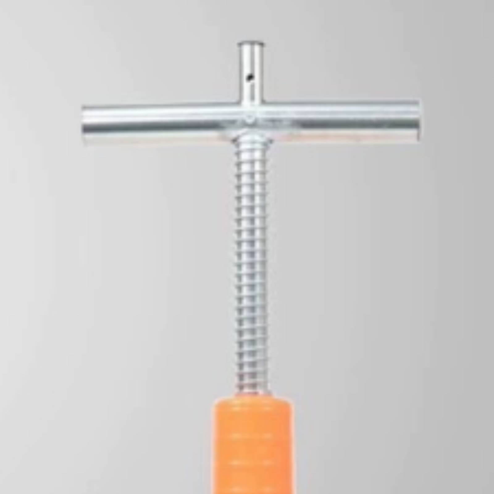 Düngerstreuer mit T-Griff, spi – Gardening Tools Vegetables Bewertung und Preis