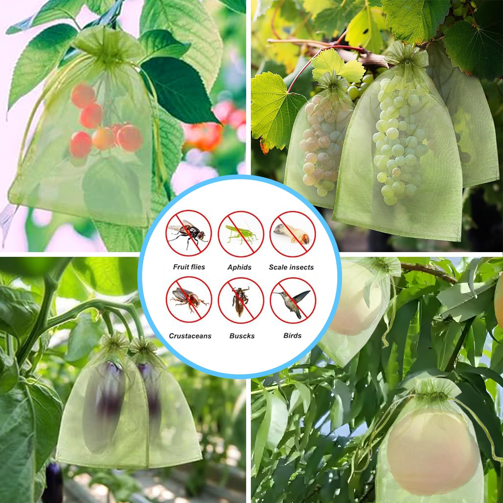 Effektives Vogelschutznetz Obs – Grow Bags Bewertung und Preis