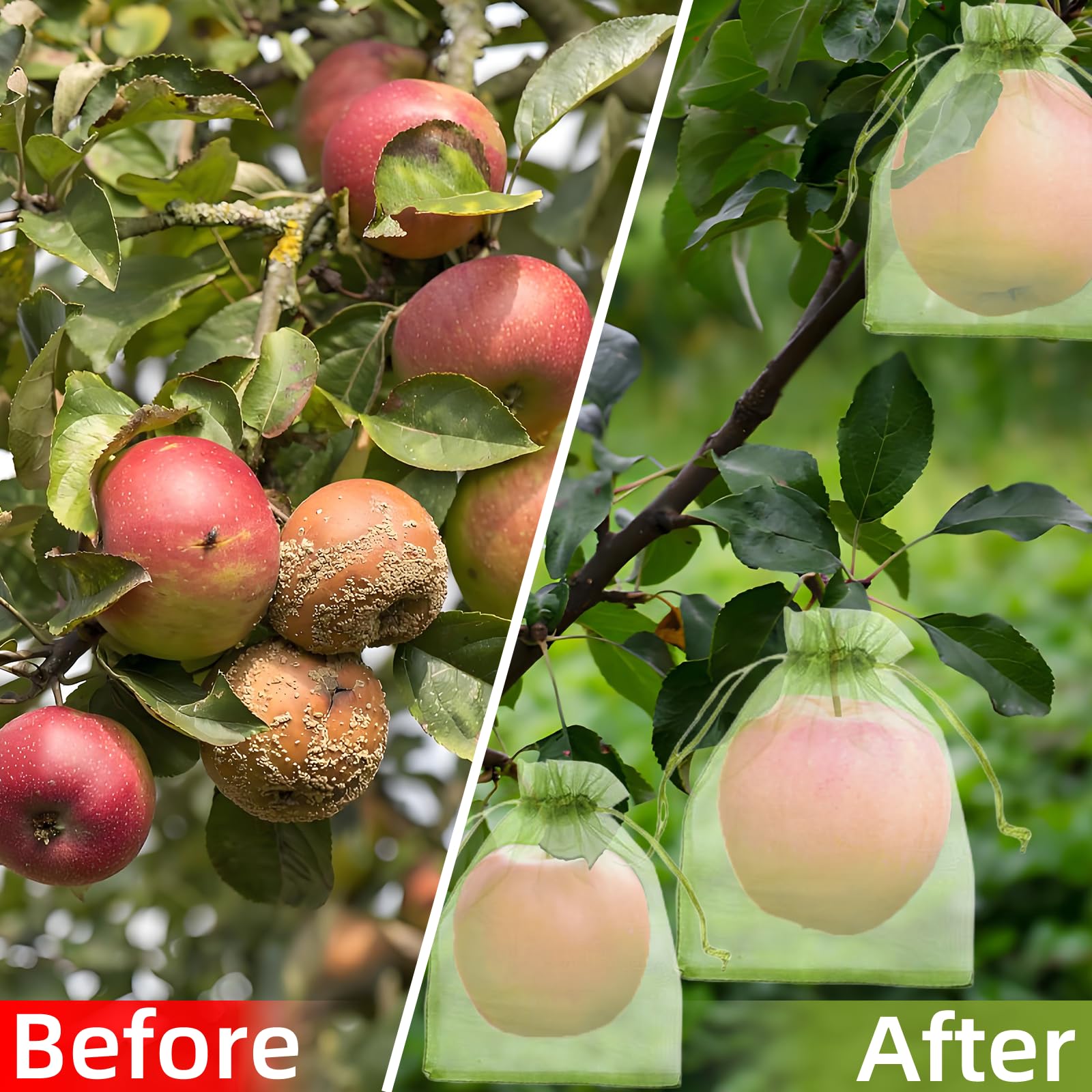 Effektives Vogelschutznetz Obs – Grow Bags Bewertung und Preis