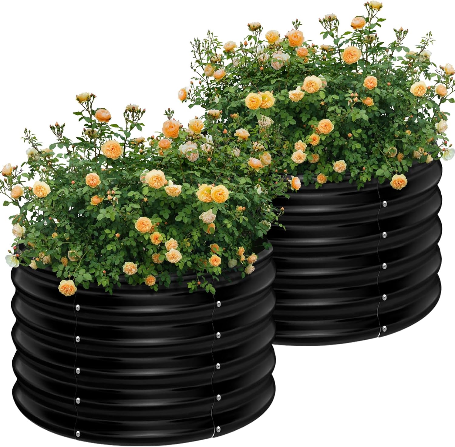 2er-Pack 2x2x1,5ft Runde Verzi – Raised Bed Planter Box Bewertung und Preis