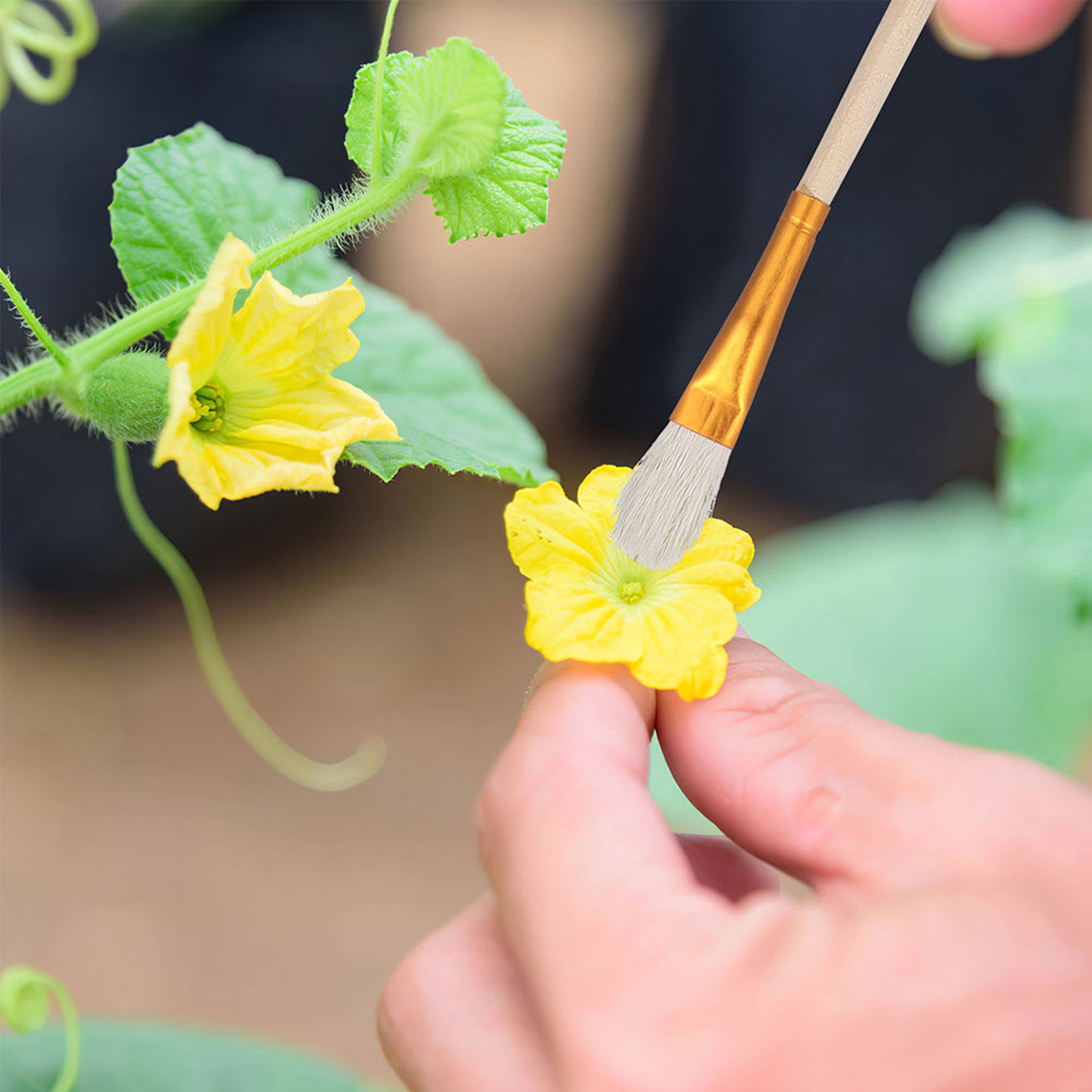 16-teiliges Blütenpollinator-B – Gardening Tools Vegetables Bewertung und Preis