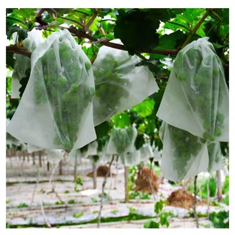 50 Stück Garten-Obstschutzbeut – Grow Bags Bewertung und Preis