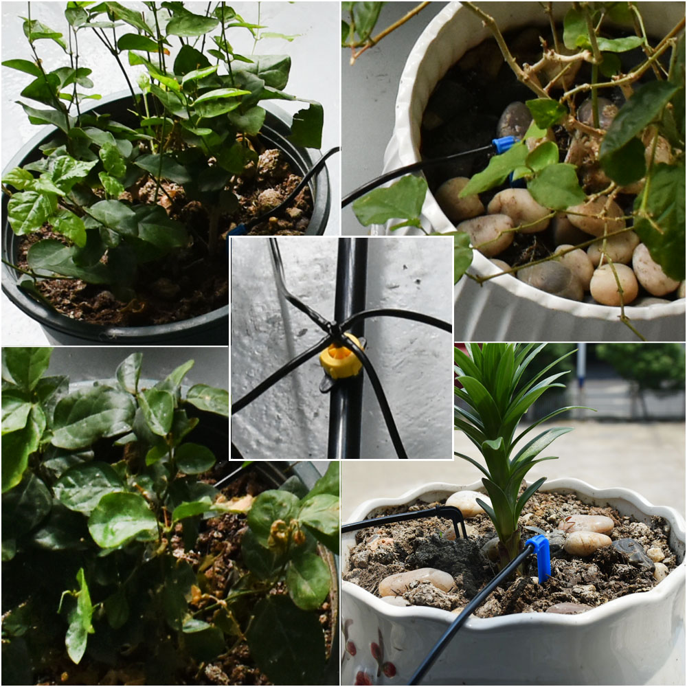 Gewächshaus Topf Curved Pfeil  – Drip Irrigation Kit Bewertung und Preis