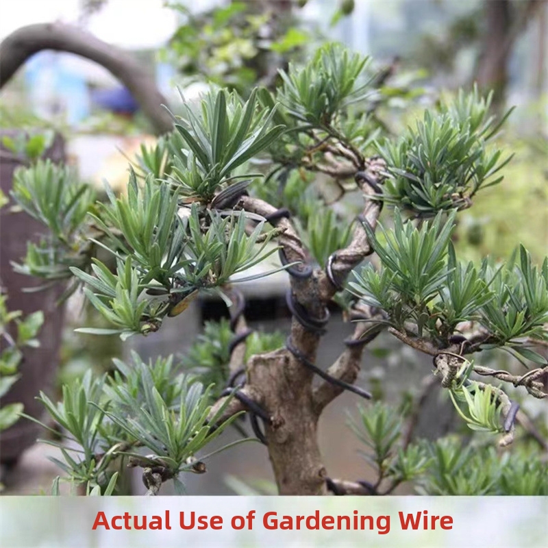 1,5-mm-Bonsaidrähte, Aluminium – Gardening Tools Uses Bewertung und Preis