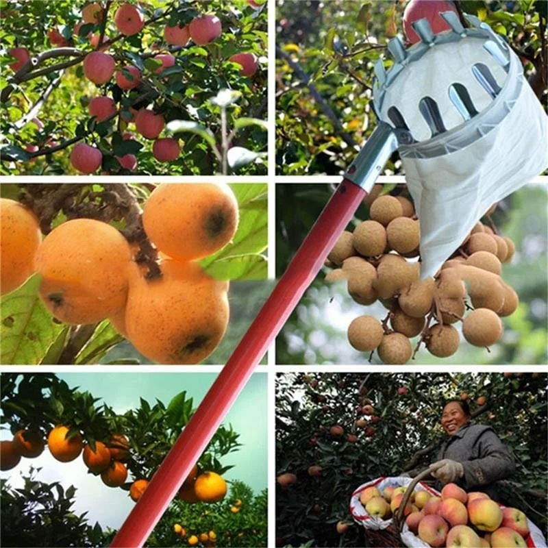 Obstpflücker für Garten und Ob – Grow Bags Bewertung und Preis