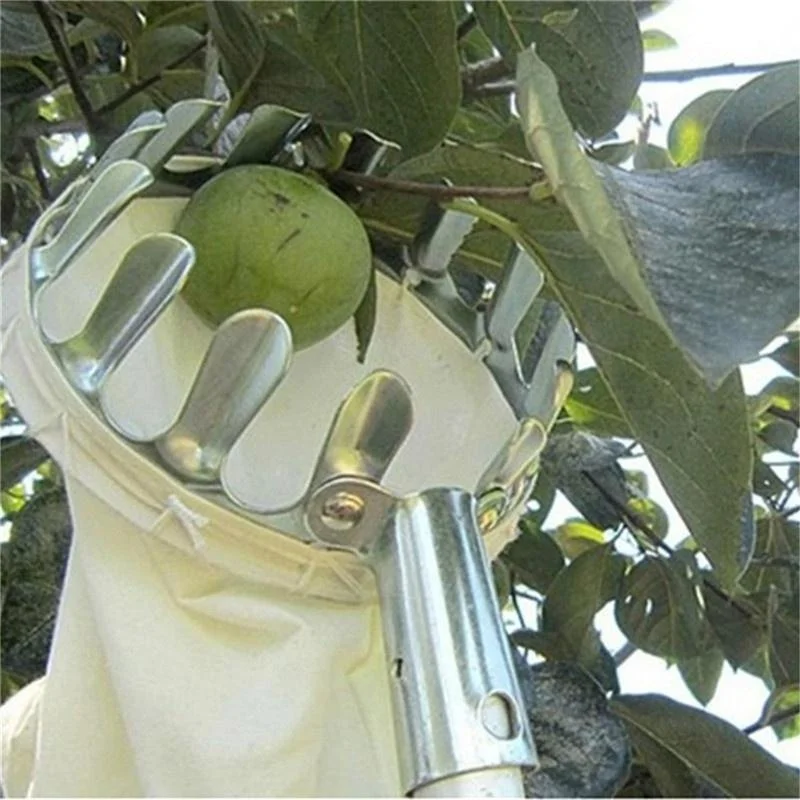 Obstpflücker für Garten und Ob – Grow Bags Bewertung und Preis