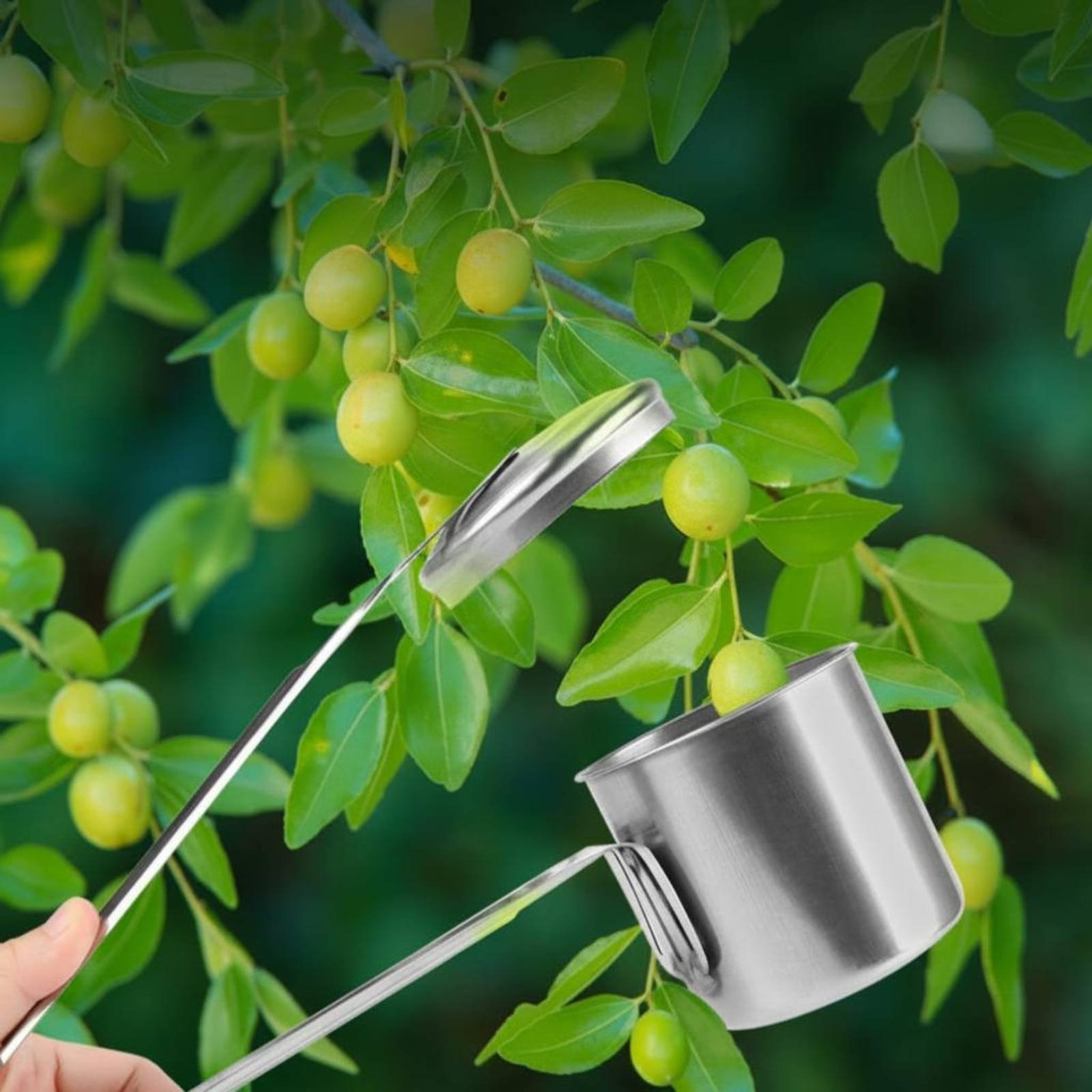 Becherförmiger Obstpflücker au – Gardening Tools Uses Bewertung und Preis