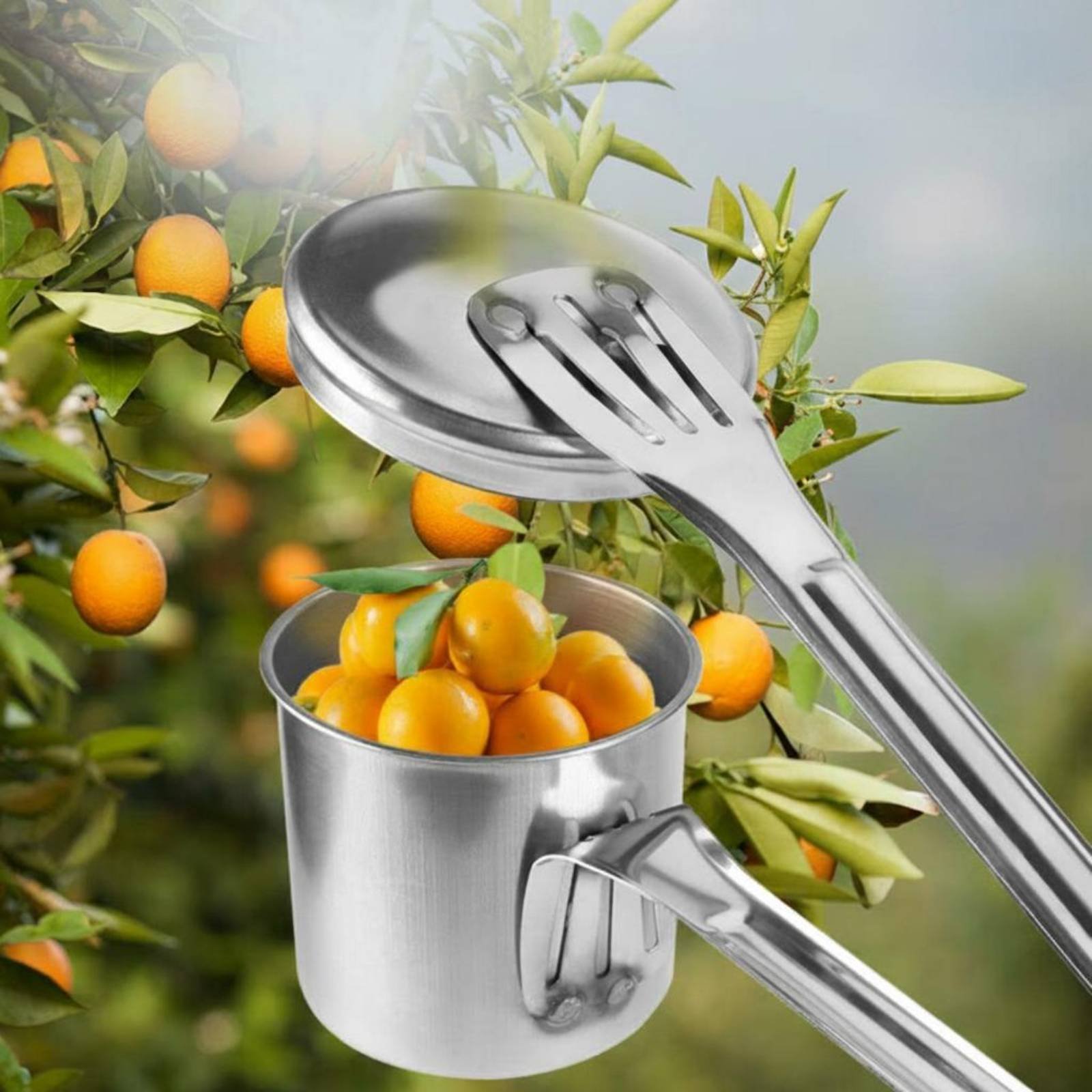Becherförmiger Obstpflücker au – Gardening Tools Uses Bewertung und Preis