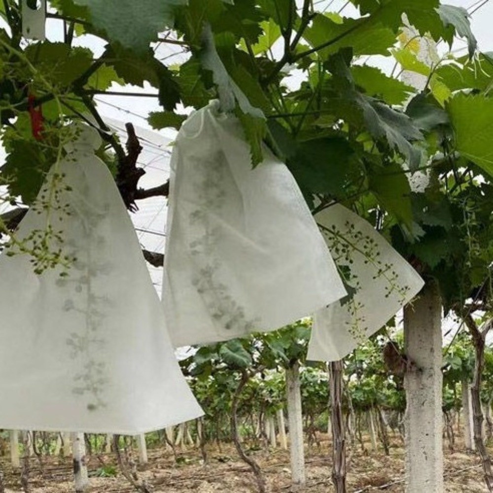 100 Stück Vliesstoff-Obstschut – Grow Bags Bewertung und Preis