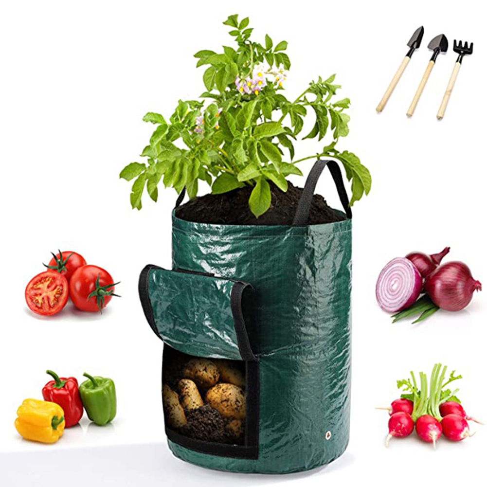 1 Stück 10-Gallonen-Pflanzbeut – Grow Bags Bewertung und Preis